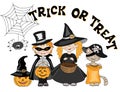 Children and cat dressing up in different Halloween costumes for party and nolding pumpkin baskets and bags