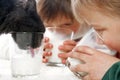 Children and cat drinking milk Royalty Free Stock Photo