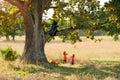 Children catch candy, which is teased by a reaper in a raincoat