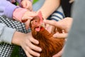 The children caught the chicken and are holding it in their hands Royalty Free Stock Photo