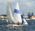 Children close racing small sailboats on a coastal lake