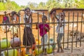 Children closeup, Rural people's daily lifestyle in rural village, India, South East Asia Royalty Free Stock Photo