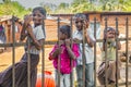 Children closeup, Rural people's daily lifestyle in rural village, India, South East Asia Royalty Free Stock Photo