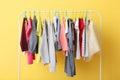 Children clothes on a hanger on a colored background. Royalty Free Stock Photo