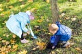 Children collecting autumn leaves