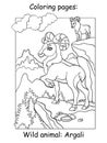 Children coloring book page argali vector illustration Royalty Free Stock Photo