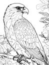 Children coloring book, wild bird falcon on a branch. natural habitat of birds. Vector generative ai