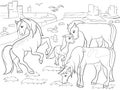 Children coloring cartoon horses grazing on meadow vector