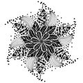 Children coloring, drawing. Leaves set of different plants and trees. Star shape or snowballs. Black and white snowflake Royalty Free Stock Photo