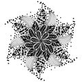 Children coloring, drawing. Leaves set of different plants and trees. Star shape or snowballs. Black and white snowflake Royalty Free Stock Photo