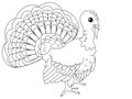 Children coloring. Farm bird, turkey. Raster cartoon