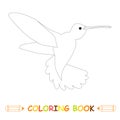 Children coloring page stock vector illustration, flying hummingbird