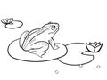 Children coloring toad, a frog is sitting on a water lily. Black and white. Cartoon raster