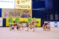 Children compete in international competitions on sport gymnastics