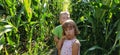 Children in the corn. A boy and a girl of 6 and 7 years old walk along the path between tall corn plants. Playing in the field. Royalty Free Stock Photo