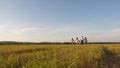 Children, dad and mom play in meadow in the sunshine. mother, father and little daughter with sisters walking in field Royalty Free Stock Photo