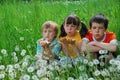 Children in dandelion field Royalty Free Stock Photo