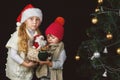 Children decorate the Christmas tree in the room. Royalty Free Stock Photo