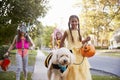 Children And Dog In Halloween Costumes For Trick Or Treating Royalty Free Stock Photo