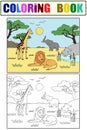 Children drawing. Animals of Africa, mainland mammals, zoo. Vector Color and black and white coloring.