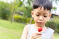 Children eating strawberries Royalty Free Stock Photo