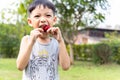 Children eating strawberries Royalty Free Stock Photo