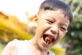 Children eating strawberries Royalty Free Stock Photo