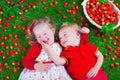 Children eating strawberry Royalty Free Stock Photo