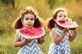 Children eating watermelon in the park. Kids eat fruit outdoors. Healthy snack for children. Little twins playing on the picnic bi Royalty Free Stock Photo