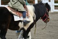 Children enjoying horseback riding at the pony riding experience corner in Petting zoo. Royalty Free Stock Photo