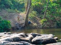 Children are enjoying playing in the water Green nature surrounded at Kaeng Hin Phoeng Rafting Prachin Buri Thailand