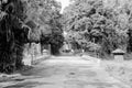 Children enjoying- walk inside a park, black and white. Natural background at Howrah, West Bengal, India