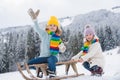 Children enjoying winter, playing with sleigh ride in the winter forest. Kids play with snow. Winter vacation concept Royalty Free Stock Photo