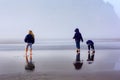 Children Explore Beach in Fog Royalty Free Stock Photo