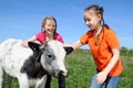 Children at farm Royalty Free Stock Photo