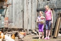 Children fed chickens Royalty Free Stock Photo