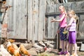 Children fed chickens Royalty Free Stock Photo