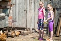 Children fed chickens Royalty Free Stock Photo