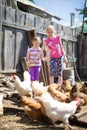 Children fed chickens Royalty Free Stock Photo