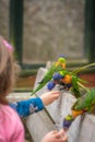 Children feeding Colourful Parrot Rainbow Lorikeets Royalty Free Stock Photo