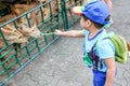 Children feeding deer Royalty Free Stock Photo