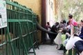 Children feeding elephant