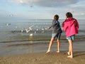 Children Feeding Gulls Royalty Free Stock Photo