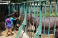 Children feeding hippopotamus