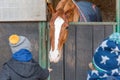 Children feeding a horse in a stable Royalty Free Stock Photo