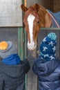 Children feeding a horse in a stable Royalty Free Stock Photo