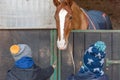 Children feeding a horse in a stable Royalty Free Stock Photo