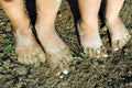 Children feet in the garden Royalty Free Stock Photo