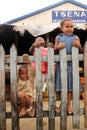 Children on the fence Royalty Free Stock Photo