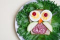 children food, creative and funny tasty sandwich for breakfast, cute owl made of toast bread decorated with eggs, meat sausage and